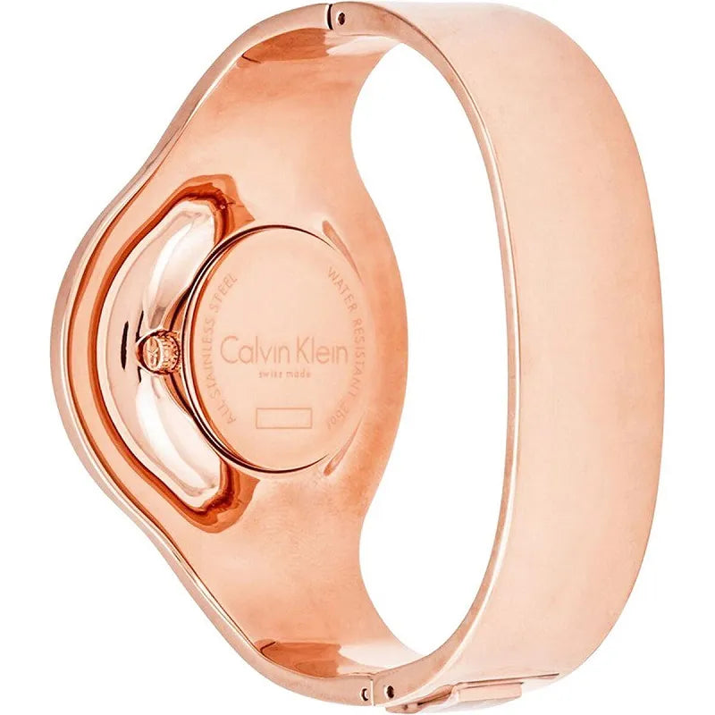 Montre Femme Calvin Klein K8C2M616, design élégant